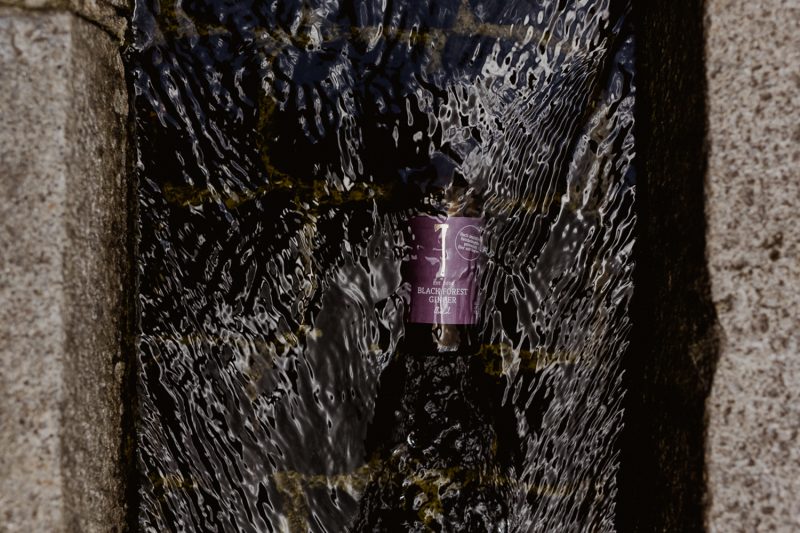 Still Life Fotografie