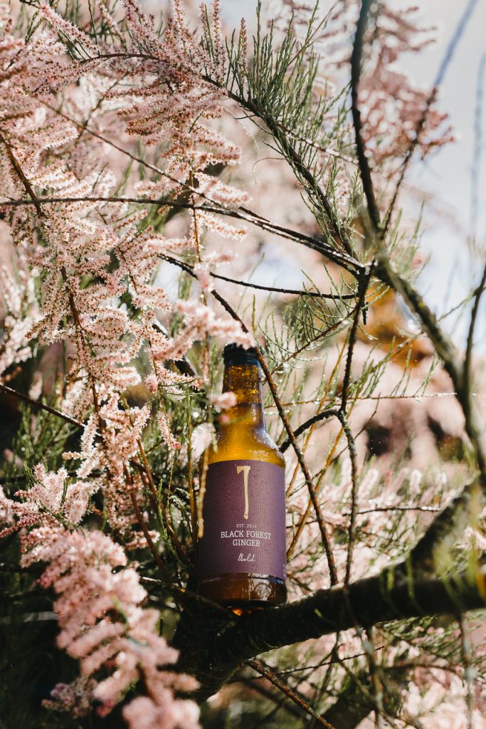 Still Life Fotografie